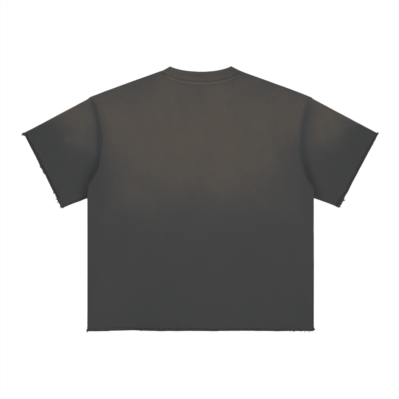 "bought with a price" | SUN FADE T-SHIRT